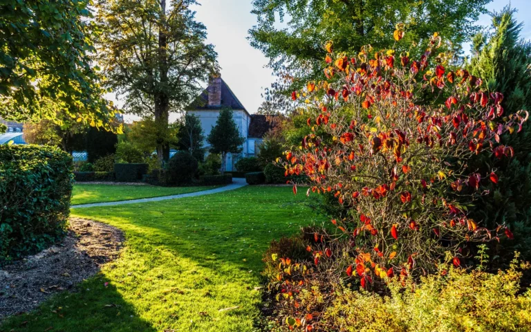 Jardin paysager remis en état après travaux